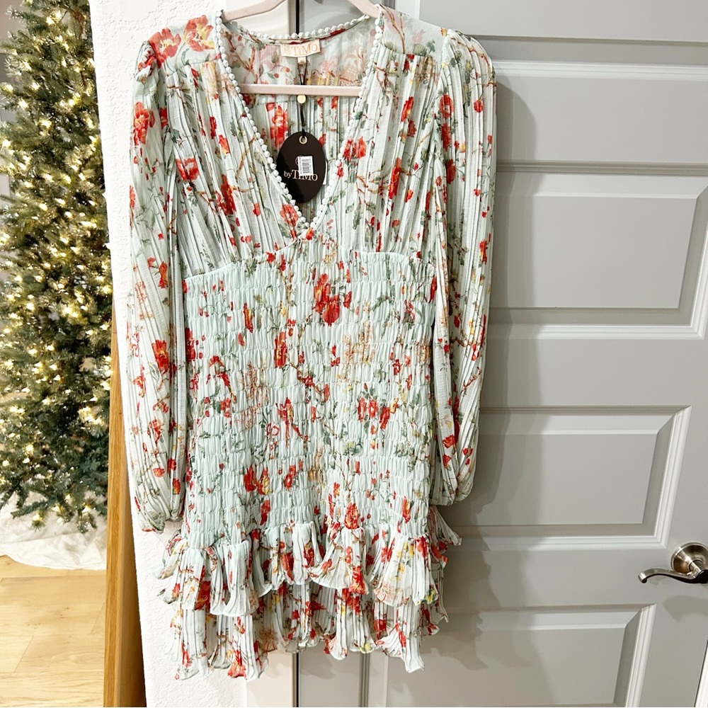 NWT By Timo Plisse Dress Mini Smocked Long Sleeve in Rose Garden Floral - Picture 3 of 6